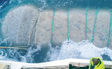 FIS - Companies & Products - Guaranteed Quality in Fishing Nets
