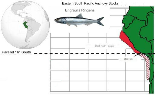 Seafood Media Group - Worldnews - Anchovy Landing in the First Fishing ...