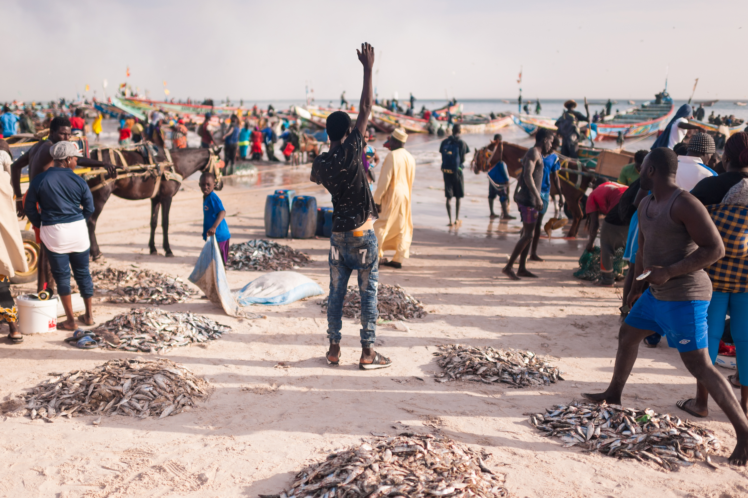 Seafood Media Group - Worldnews - The Senegalese community who sued a ...