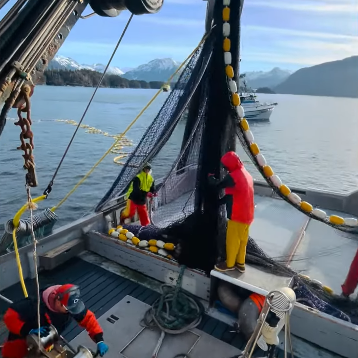 Seafood Media Group - Worldnews - Sitka’s High-Value Herring Roe ...