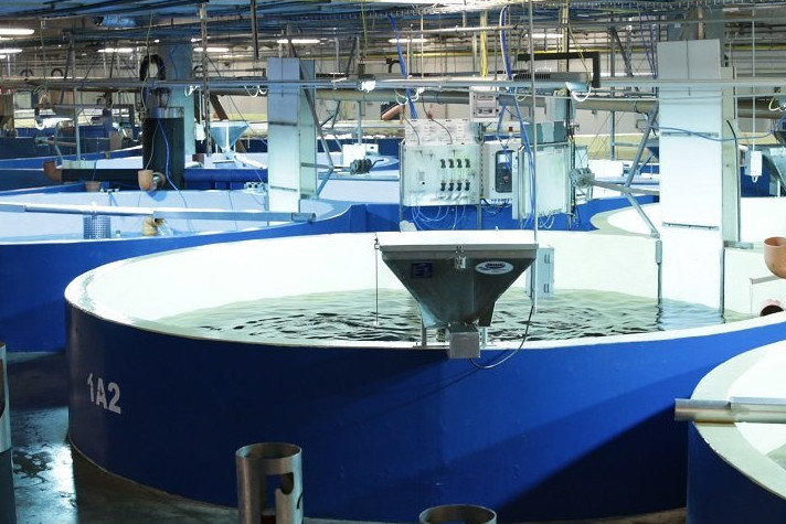 Revolutionising fish nutrition for the sake of biodiversity - European  Commission