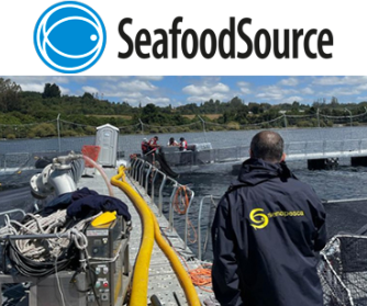 Seafood Media Group - Worldnews - PROW FACING SOUTH: AN ANALYSIS