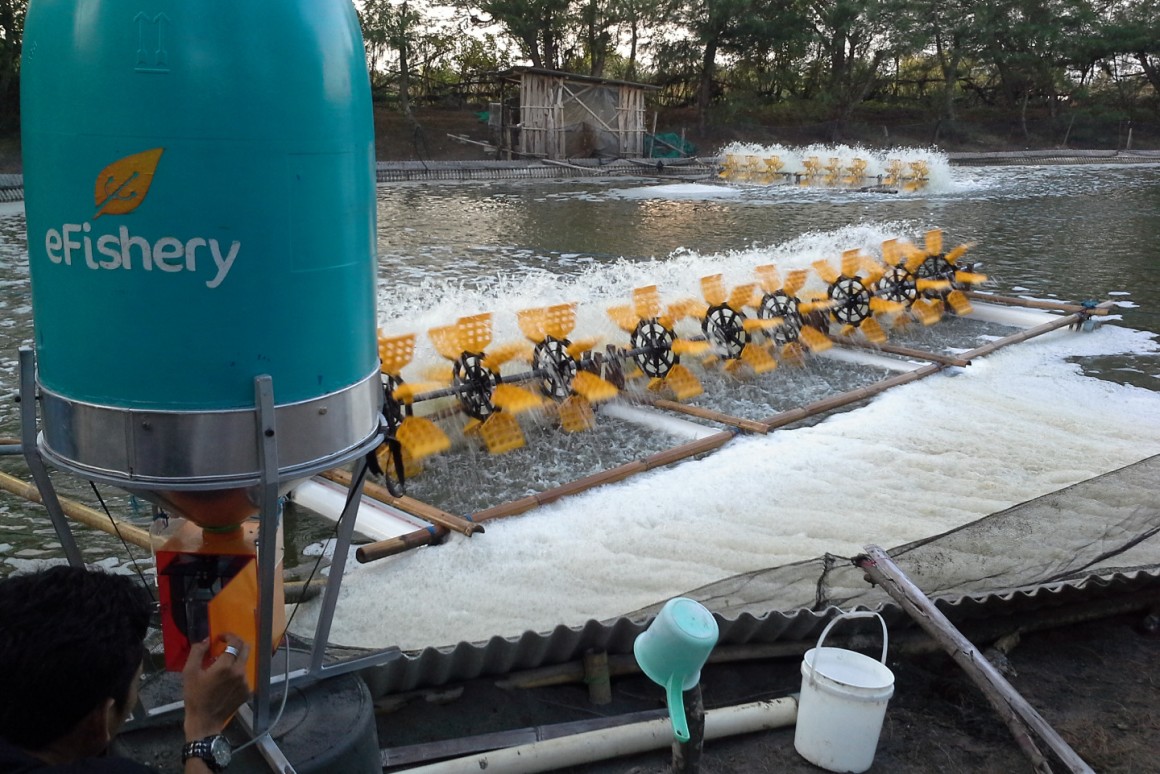 Seafood Media Group - Worldnews - Investors prioritising technology and ...