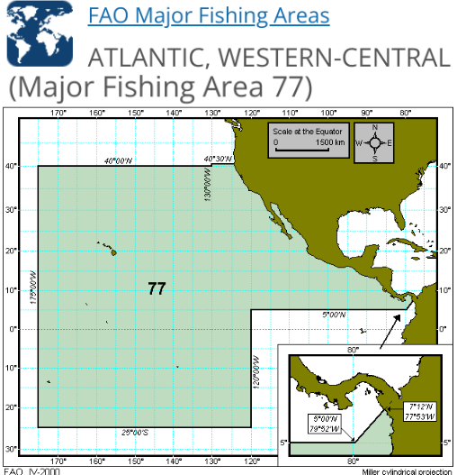 Seafood Media Group - Worldnews - ILLEGAL FISHING AND MIGRATORY ...