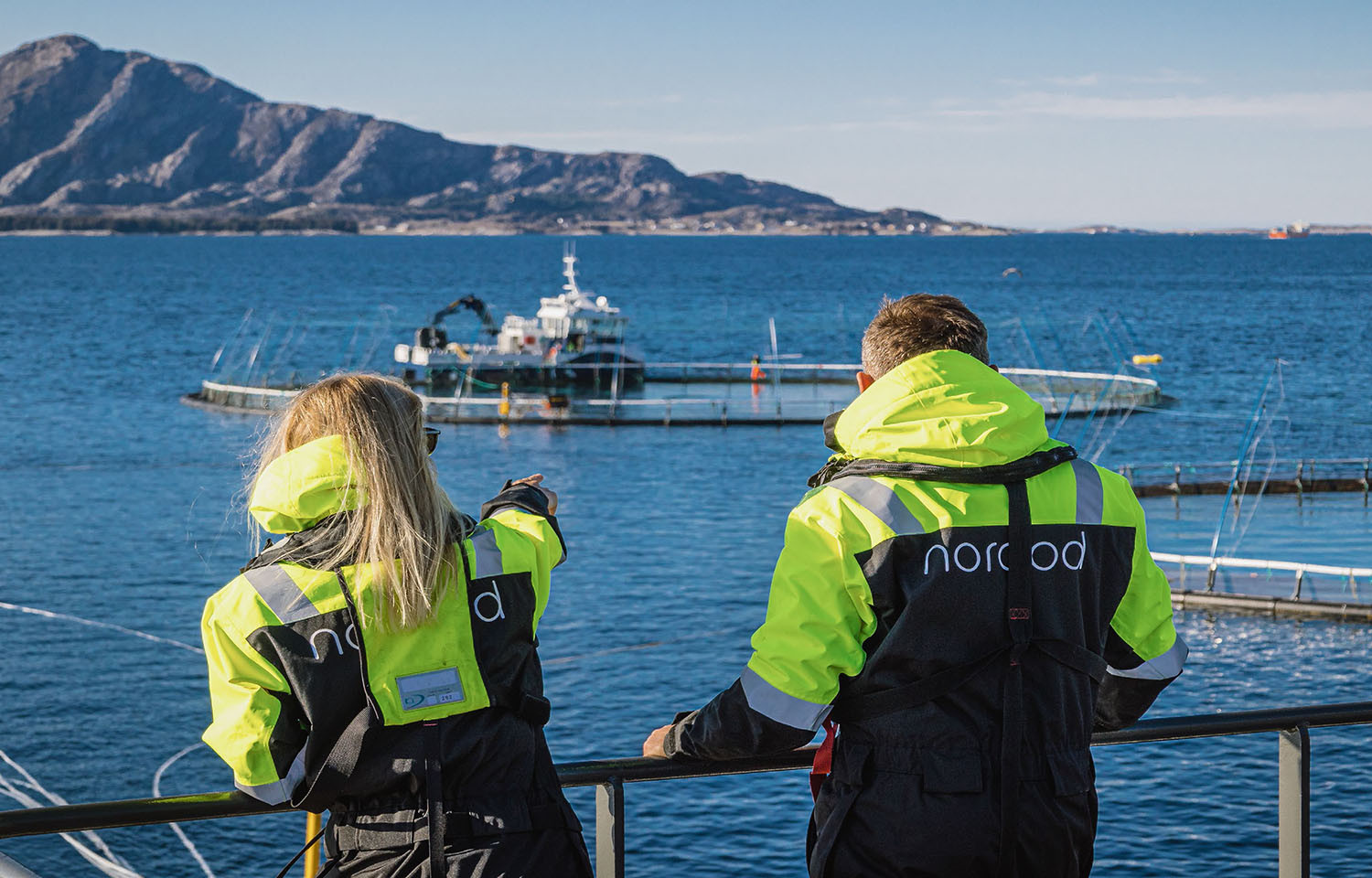 Norcod Seafood Media Group - Noticias - High Liner Foods invierte 5 millones ...