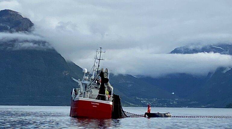 FIS - Companies & Products - The Norwegian Pelagic Fishing Course in ...