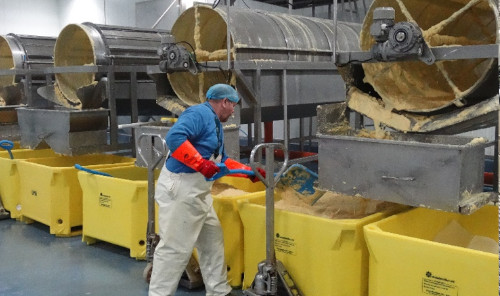 FIS - Companies & Products - Steady fishing and capelin roe production