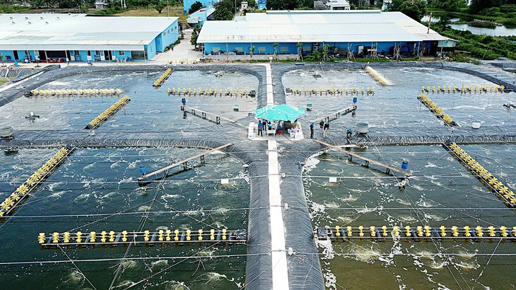 Seafood Media Group - Worldnews - Vietnam Shrimp Exports Forecast to ...