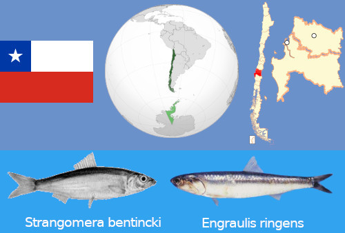 Seafood Media Group - Noticias - Comenzó la temporada de captura de ...