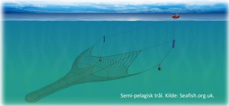 FIS - Companies & Products - Compilation of knowledge for pelagic/semi- pelagic trawling for cod fish