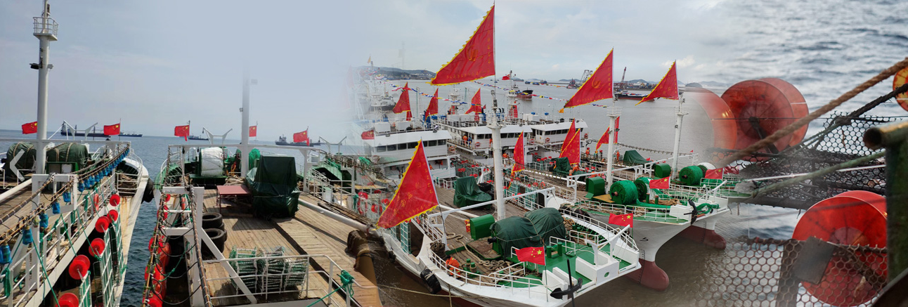 Squid Importer In China China Trade,Buy China Direct From Squid Importer In  China Factories at
