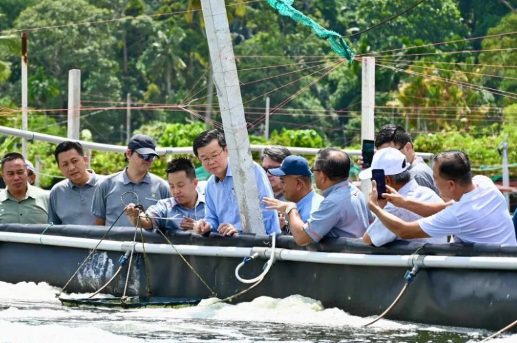 Seafood Media Group - Worldnews - Malaysia's first smart aquaculture system  officially operates in Penang to raise white shrimps