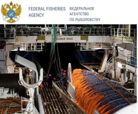 Seafood Media Group - Worldnews - Pollock │ TAC 2023 │ Far East Russia │  until Sep-30