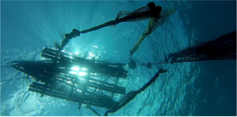 Stranded Buoy Seafood Media Group - Worldnews - A stroll along the beach leads to a ...