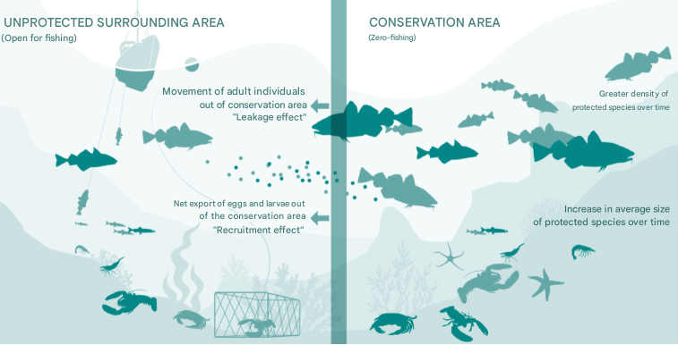 Seafood Media Group - Worldnews - Marine Conservation Areas: What It ...