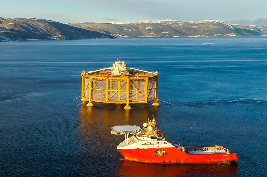 Seafood Media Group - Worldnews - Norwegian Environmental Groups Unite ...