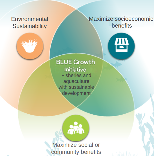 Seafood Media Group - Worldnews - The FAO's Blue Transformation: An ...