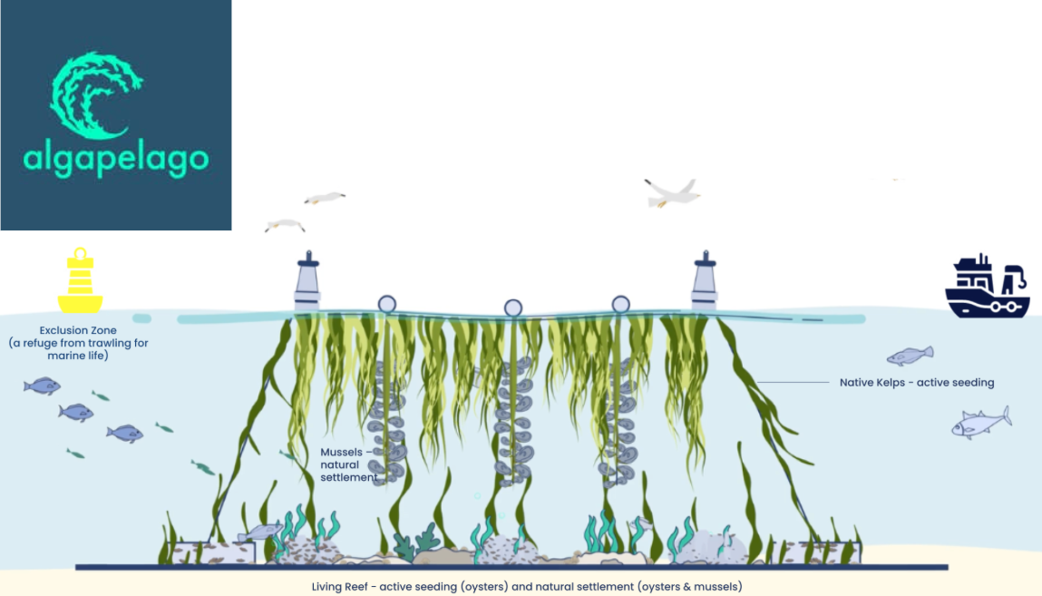 Seafood Media Group - Worldnews - Nestlé Drives Sustainable Aquaculture ...