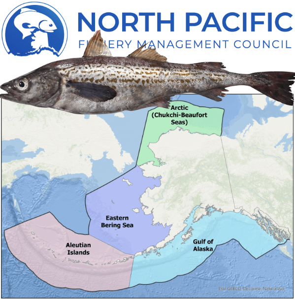 Pollock Rip Sea Seafood Media Group - Worldnews - US Proposes Steep Cut to Gulf of ...