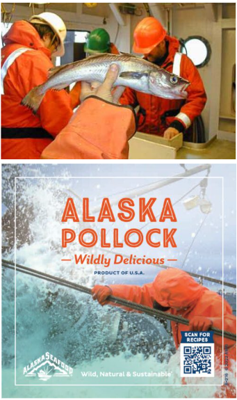 Seafood Media Group - Worldnews - Alaska Pollock Enters Final Stage of ...