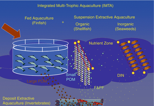 Seafood Media Group - Worldnews - International experts identify keys ...