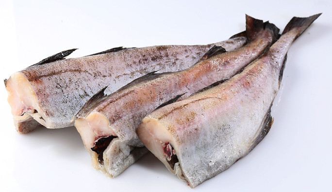 The turnover of fish products between Russia and China increased by 80% in the 1st quarter of 2023(图1)