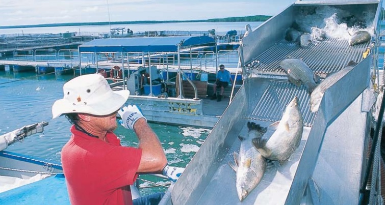 Seafood Media Group - Worldnews - Budget 2022: $3.19M to Accelerate ...