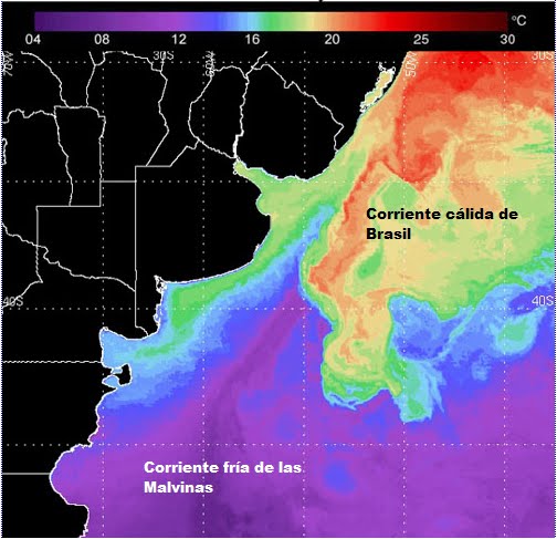 Seafood Media Group - Worldnews - The Brazilian Current is changing and ...