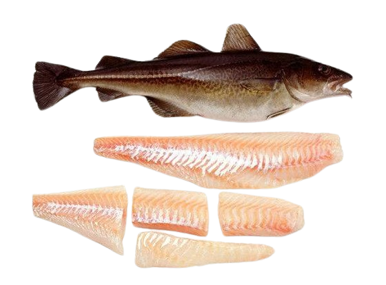Fresh Cod Alive Seafood Media Group - Worldnews - Situation of the international market ...