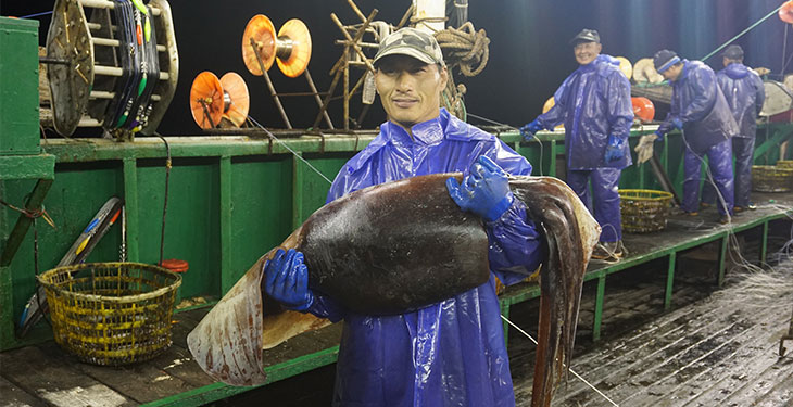 New FIP to Improve Giant Octopus Fishery in Northern Japan