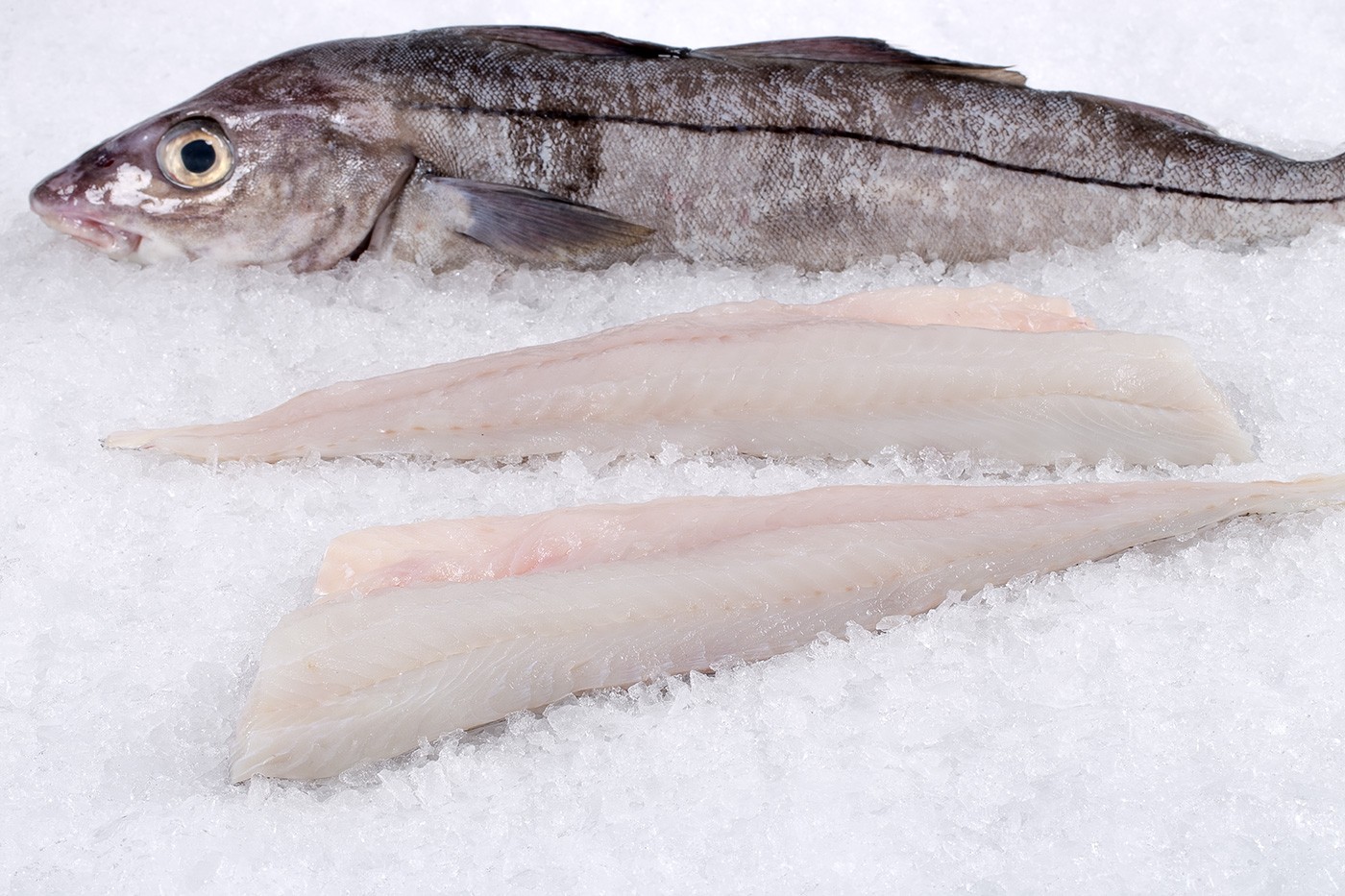 Seafood Media Group Worldnews Market performance for Norwegian