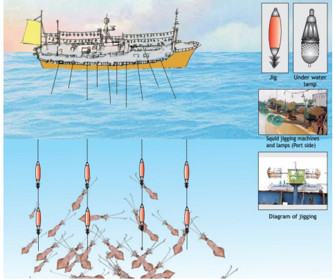 AMAZING AUTOMATIC SQUID FISHING ROBOT IN RGENTINE/TAIWAN VESSEL