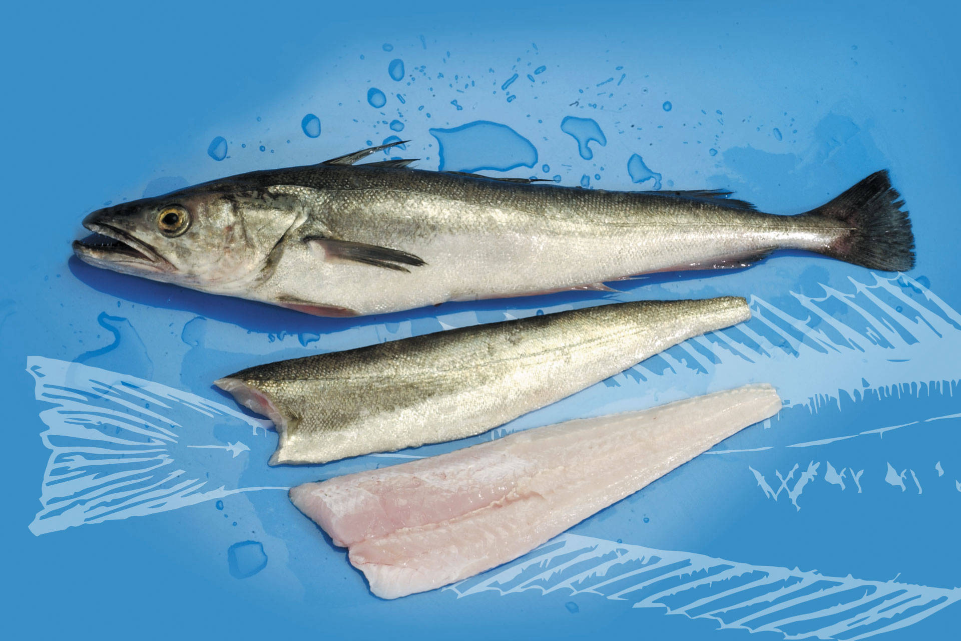Seafood Media Group - Worldnews - Official export data in the first ...