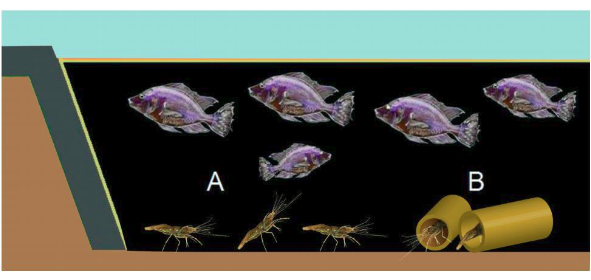 Seafood Media Group - Worldnews - Technology promoted for farming ...