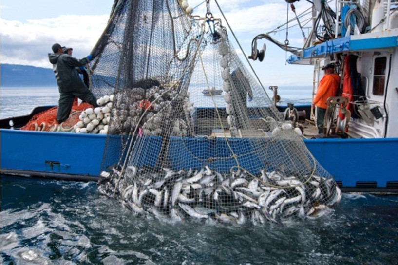 Seafood Media Group - Worldnews - Kamchatka fishing situation: pollock,  herring, crab and more