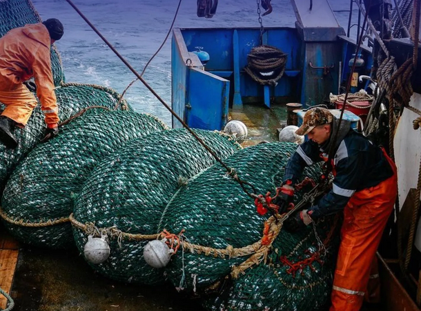 Seafood Media Group - Worldnews - Pollock │ TAC 2023 │ Far East Russia │  until Sep-30