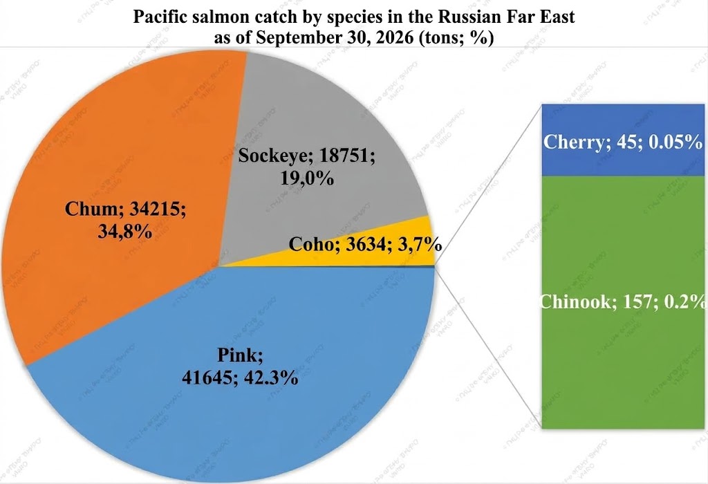Seafood Media Group - Worldnews - 2026 Pacific Salmon Fishery Close ...