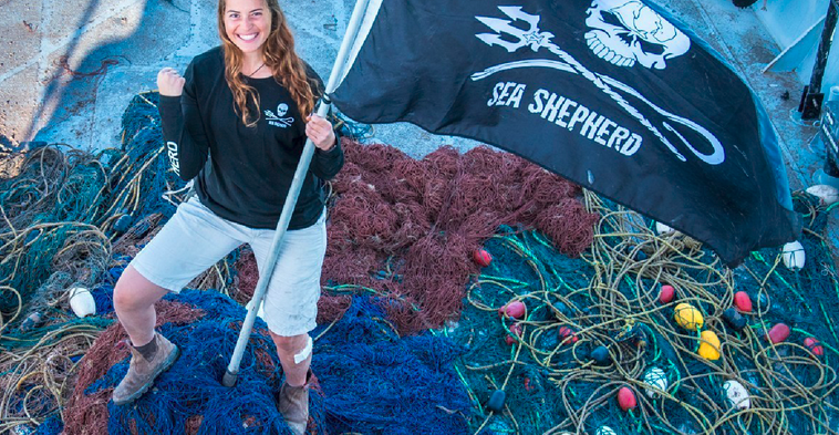 Sea Shepherd: A Movement 