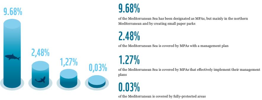 Protecting 30% of the Mediterranean Sea will boost fish stocks and  biodiversity - WWF report