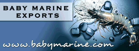 Baby Marine Ventures - Group Head Office