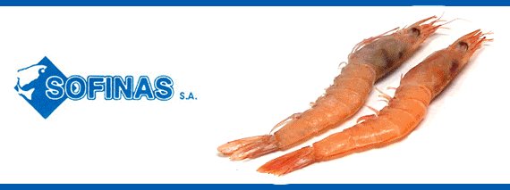 Sofinas SL