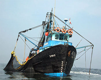 FIS - Compañías y Productos - Peligra apertura de temporada de pesca  industrial de anchoveta
