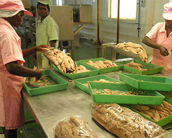 Soltuna Factory FIS - Companies & Products - SolTuna Ltd to get USD 10 million to boost ...
