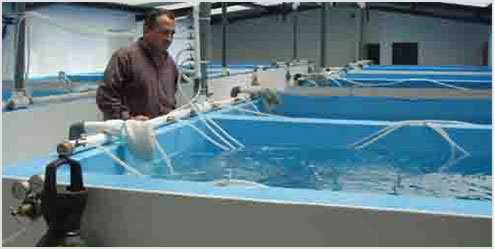 FIS - Compañías y Productos - Ocean Farm S.A. Establece Hito con ...