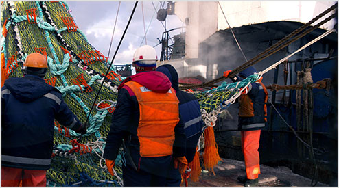 FIS - Companies & Products - Russian Fishery Company Increases Deep ...
