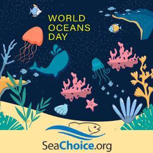 FIS - Companies & Products - Get More Sustainable for World Oceans Day