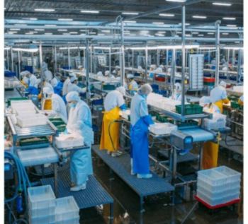 FIS - Companies & Products - Statistics | Production volume | Fishery ...