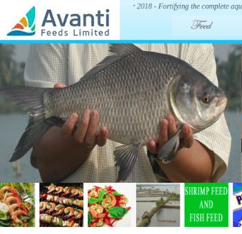 avanti fish feed