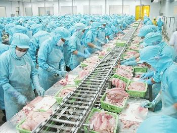 Seafood Media Group - Noticias - La producción de mariscos en Vietnam  crecerá un 1,4% en el tercer trimestre