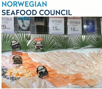 Seafood Media Group Worldnews Record Breaking Results For Norwegian